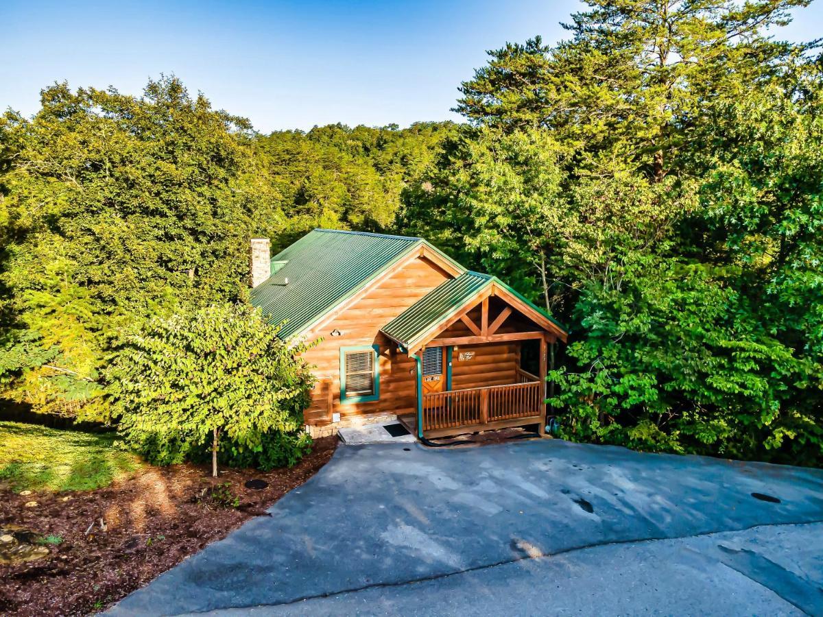 Cozy Log Cabin!! In Heart Of Pf & Close To The Smokies 비둘기 포지 외부 사진